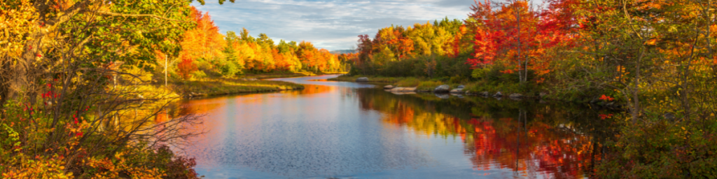 Autumn in the Midwestern US, Leaves changing colors from green to reds, golds and orange.  
