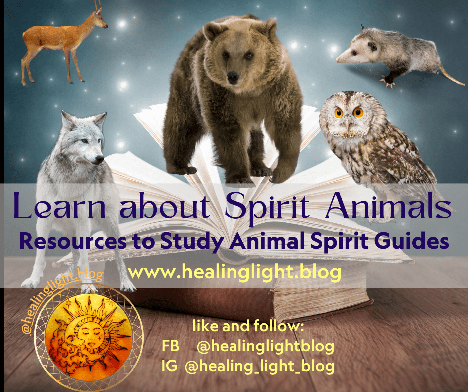 Learn about Spirit&nbsp;Animals