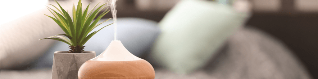 Aloe Plant and diffuser adding calming and soothing scent to the air.