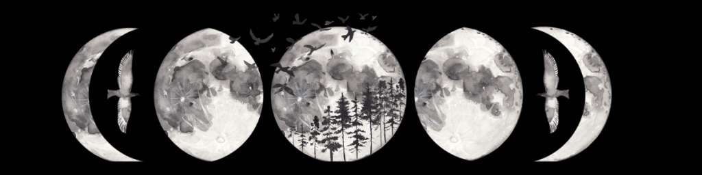 Moon Phases graphic