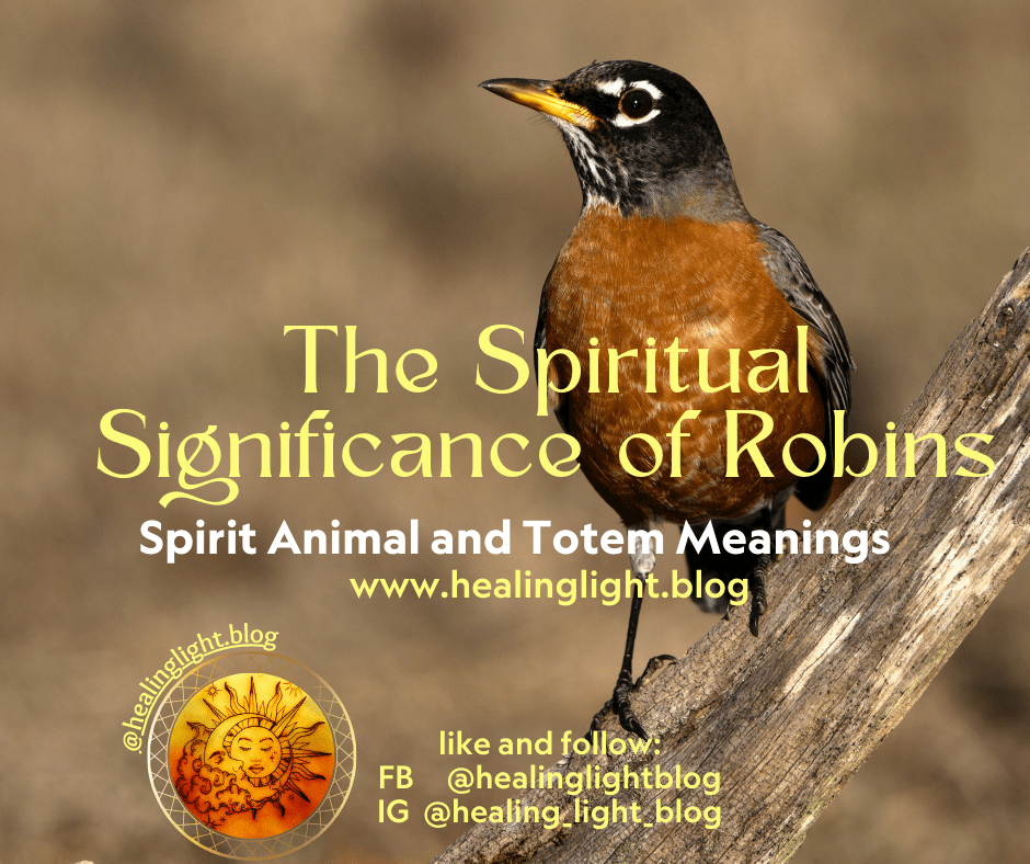 The Spiritual Significance of Robins