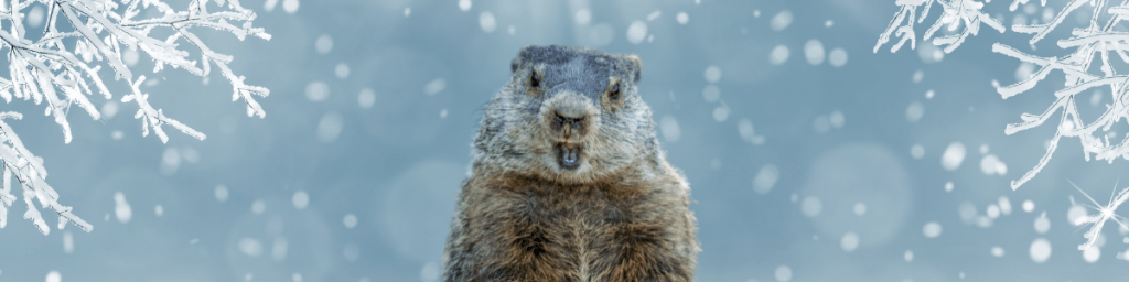 Groundhog predicts six more weeks of winter! Groundhog Day 2025