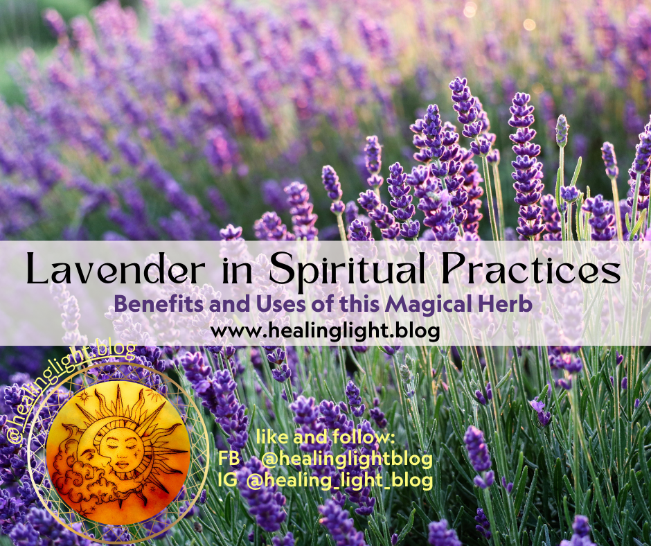 Lavender in Spiritual&nbsp;Practices