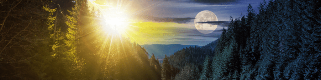 Spring Equinox, equal parts: day and night