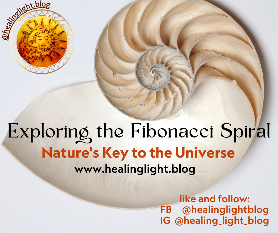 Exploring the Fibonacci&nbsp;Spiral