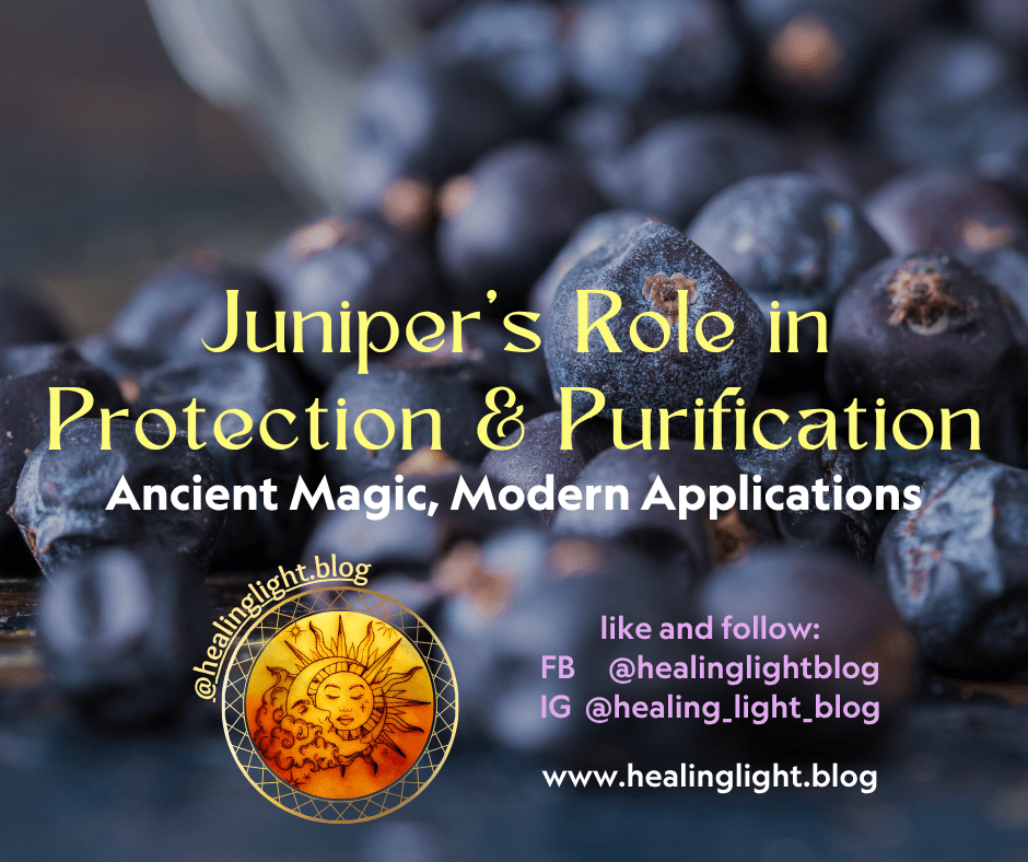 Juniper Berries; Juniper's Role in Protection and Purification